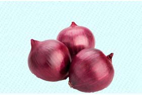 Onion Red..