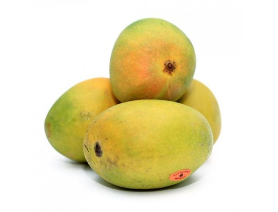 Fresh mango alphonso