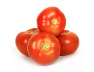 Fresh tomato local organically grown