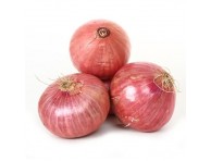 Fresh onion organically grown