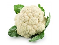 Fresh cauliflower organically grown